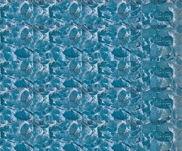 CARTA FOGLIE GR.60 BLU