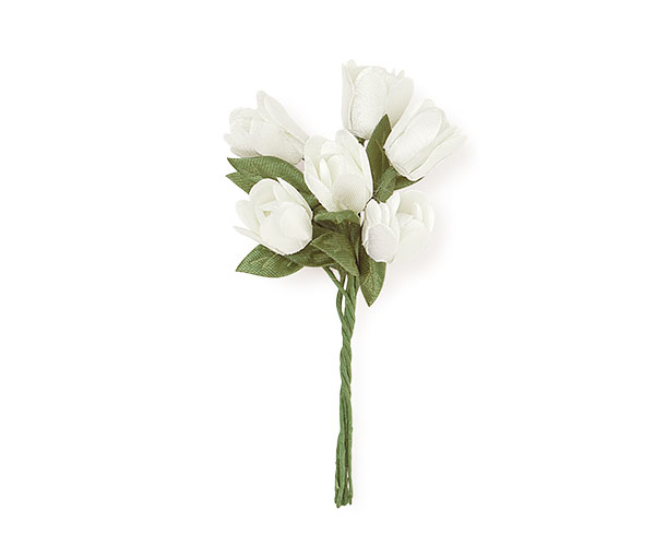 SET 6 TULIPANI BIANCHI