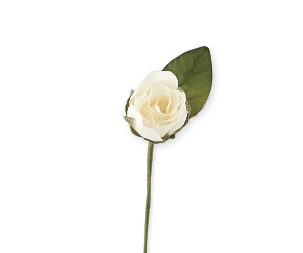 BOCCIOLO ROSA AVORIO