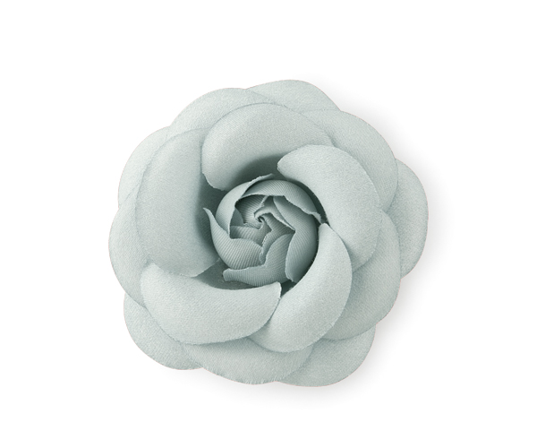 CAMELIA CON MOLLETTA GRIGIA