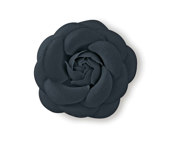 CAMELIA CON MOLLETTA NERA