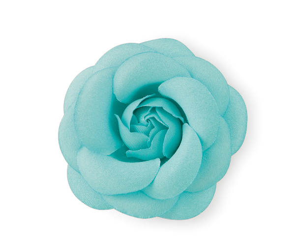 CAMELIA CON MOLLETTA ACQUA