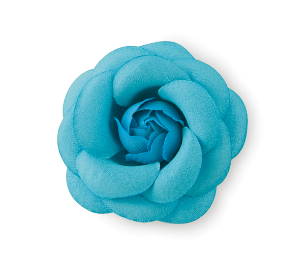 CAMELIA CON MOLLETTA TURCHESE