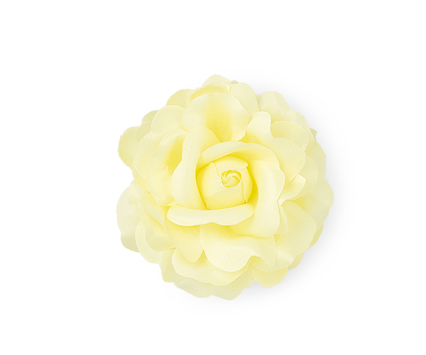 ROSA GIALLA